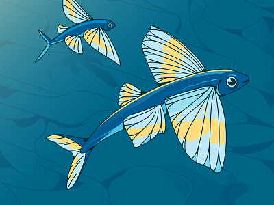 Hang Time fish flying fish illustration ocean vector