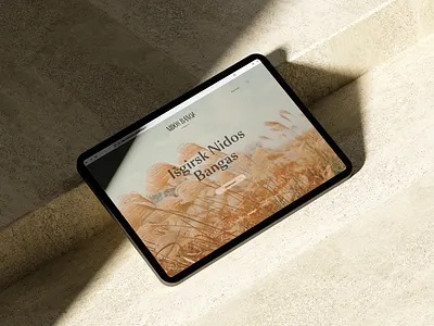 Nidos banga web design brand identity branding graphic design identity ui