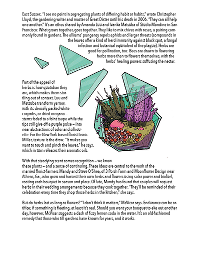 Herbs 2 editorial editorial art editorial design editorial illustration editorial layout floral herbs illustration indesign