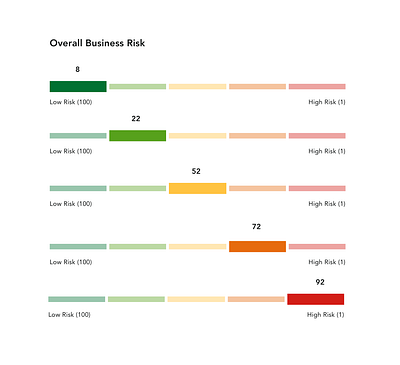 Risk Scale credit score score