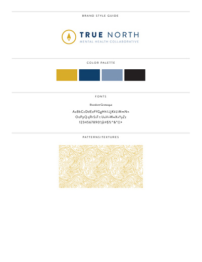 True North logo design logo logo design