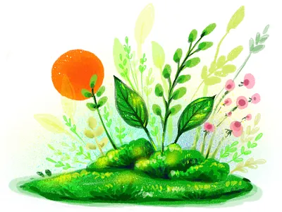 Digital Painting - Procreate Art digital art digitalwatercolor fresh morning illustration ipadproart nature nature illustration sun rise