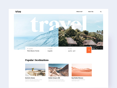 Triva - Travel Agency animation blog blog post concept design landing minimal motion photography tourism travel travel agency travelling trip ui ui design ux vacation web website