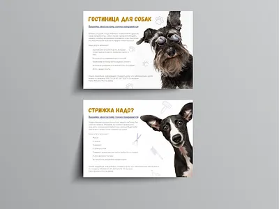 brochures for dog hotel and grooming brochures design graphicdesign