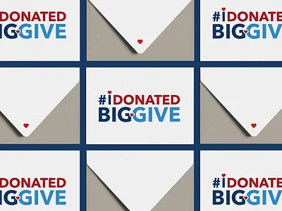 The Big Give Branding Identity branding design graphic design non profit visual design