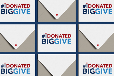 The Big Give Branding Identity branding design graphic design non profit visual design