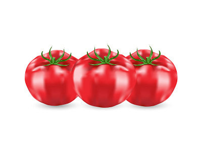tomato illustration