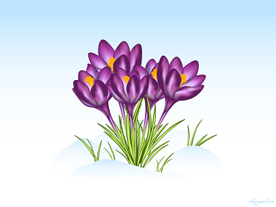 Crocuses bloom blossom blue botanical botanical illustration botany crocus crocuses floral floral illustration flower illustration flowers gradient gradient mesh grass purple saffron spring springtime vector