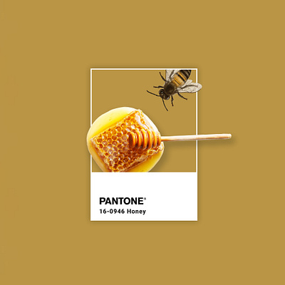 Pantone honey adobe ads advertising bee character design design photoshop illustration gold grahicdesign graphic graphicdesign honey illustration inspiration pantone photoshop yellow