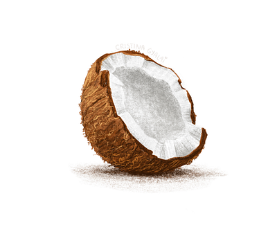 Coconut brown coconut drawing illustration procreate relaxing white