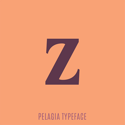 36 Days of Type - Z 36daysoftype font handcrafted retro type typeface typography vintage