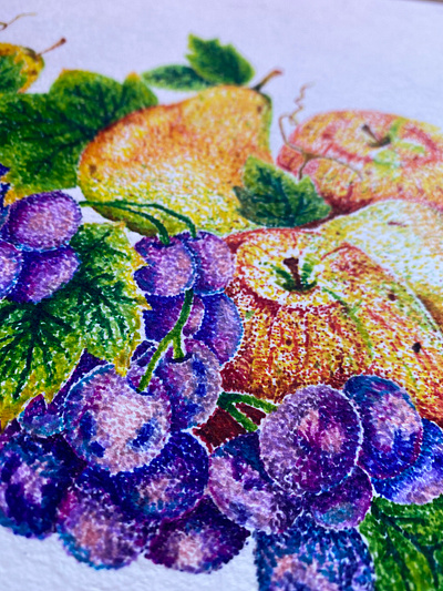 Stippling Fruit colorful drawing fruit illustration stippling