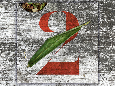 2 - 36 Days of Type 36daysoftype adobe alphabet design graphic design illustrator number photography photoshop typedesign typography