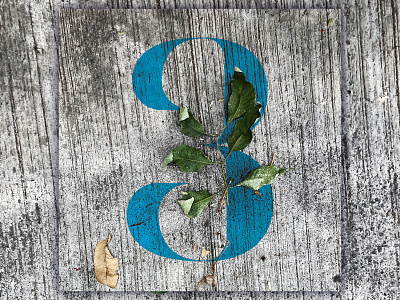 3 - 36 Days of Type 36daysoftype adobe alphabet design graphic design illustrator numbers photography photoshop typedesign typography