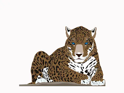 Blue Eyes design illustration vector