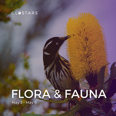 Flora & Fauna photo contest invitation by Glostars android colors community composition contest fauna flora floral florals free glostars landscape nature online photocontest photographer photography prize trees wildlife