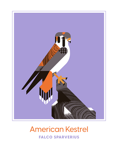 American Kestrel animal bird character design falcon falcons fly geometric illustration kestrel orange psychedelic purple retro rock texture vector