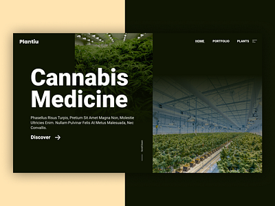 Cannabis Medicine Web development hero shop ui design