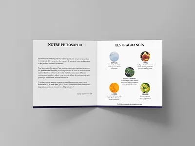 Dépliant de Quintessence Lab (02) fragrance graphic design leaflet luxury perfume quintessence lab quintessence paris visual design