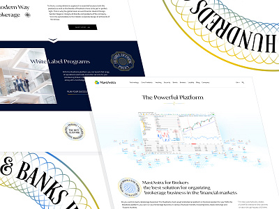 Landing Page for Trading Platform branding illustration landing logotype ui web