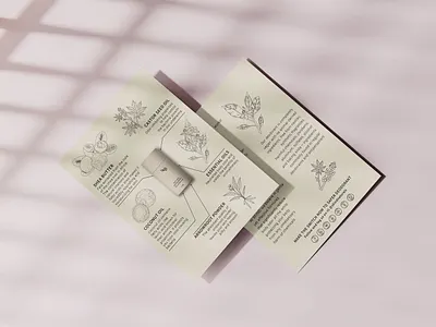 pamphlets design and illustration for natural body care design illustration illustrator pamphlets vector