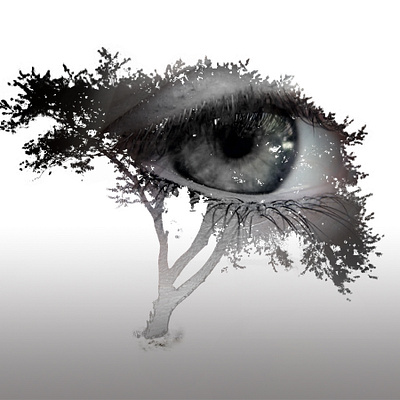 treeEye