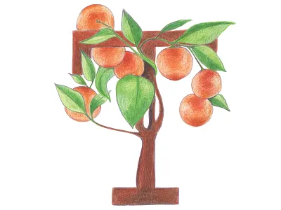 T is for Tangerine alphabet colored pencils fruit fruit letter hand drawn handlettering illustration kids illustration typography typography art