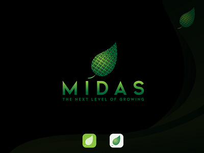 MIDAS - Glass & Greenhouse advisors Logo Design abstract logo branding combination mark logo creative design graphic design leaf logo logo logodesign modern logo vector