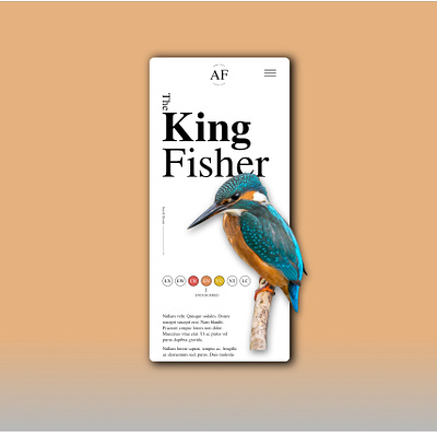 King Fisher Mobile Design design minimal mobile mobile design mobile ui typography ui design web web design