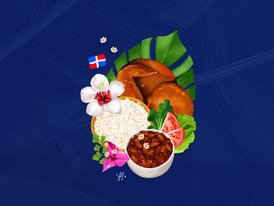 Dominican flag caribbean dominican food illustration procreate