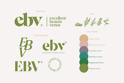 ebv logotype design & colour palette beauty branding design logo minimal packaging typography