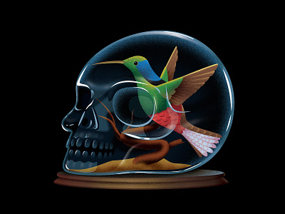 The New York times - Book Review bird book editorial glass hummingbird illustration skull taxidermy thenewyorktimes thrille