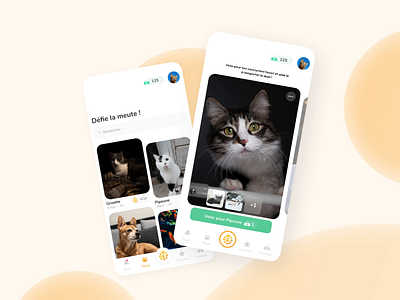 Scorpet UI contest design dribbble mobile pets ui