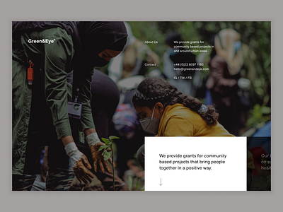 Community Fund Website design figma typography ui user experience user interface ux web website