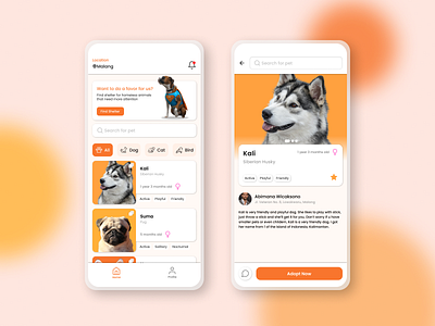 Pet Adoption App adoption app cats design dogs mobile app mobile app design pet care petshop