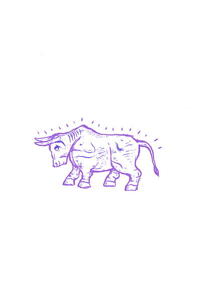 Bull design illustration procreateapp