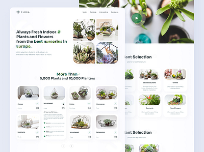 Plants shop landing page clean design clean ui figma flowers landing page landing page design light light theme modern plant plant shop plants uidesign uiux uxdesign web website website concept website design websites