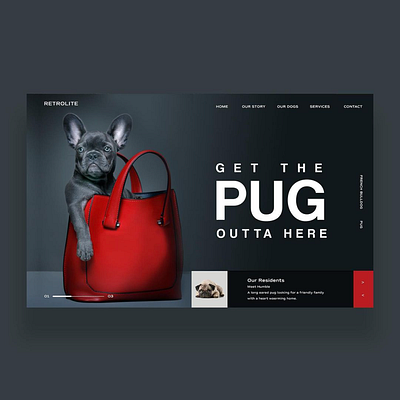 Get The Pug Outta Here Ui Design design inspiration dog french bulldog graphic design photography pug puppy ui ui design uiux ux ux design web design