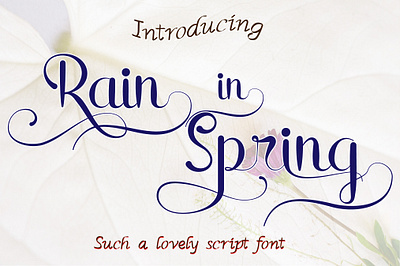 Rain in spring font aescripts aesthetics beautiful font calligraphy handlettering handwritten invitation font lettering fonts lovely font lovelyfont script