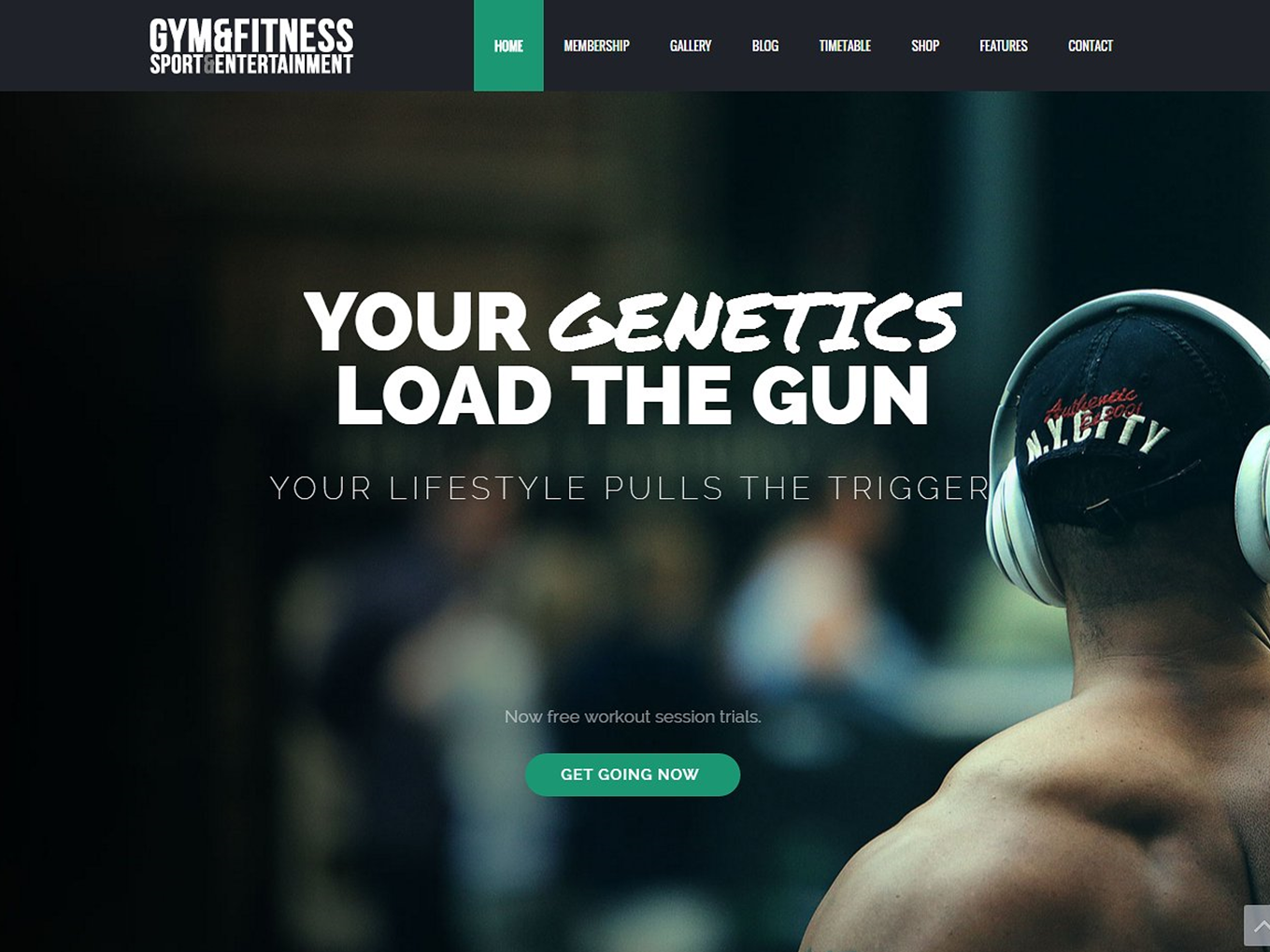 Example of Install Wp Plugins Or Themes On Demand 