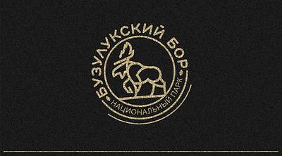 Logo for the National Park branding design business logo business logos logo logo design дизайн логотипа логотип на заказ разработка логотипа создание логотипа фирменный стиль