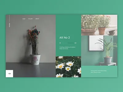 Hero Concept design for Plant Gallery design figma design illustration landing page landing page design minimal modern design portfolio web design web inspiration