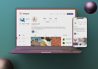 Instagram Web V1.0 branding illustration minimal userinterface