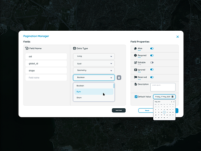 Pagination Manager GIS Popup arcgis calendar date dropdown field gis gismart light popup map onoff popup popup design switch ui user interface