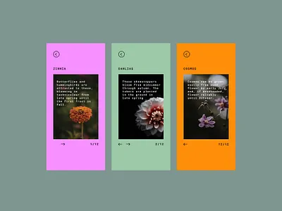 085 #DailyUI Pagination dailyui dailyuichallenge design event website flowers gardening info cards pagination ui ui design ux