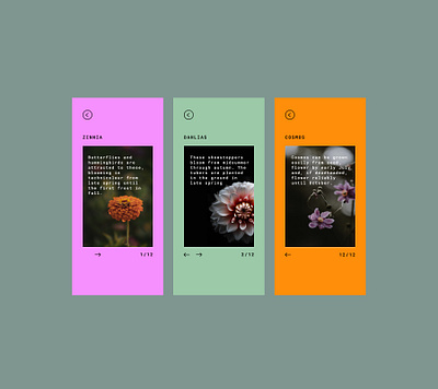 085 #DailyUI Pagination dailyui dailyuichallenge design event website flowers gardening info cards pagination ui ui design ux