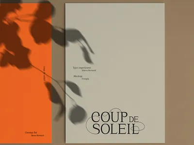 Type experiment minimal modern serif type typeface typography