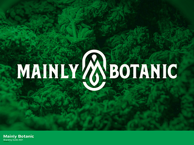 Mainly Botanic Concept branding design dispensary district north design maine new hampshire nick beaulieu pot plant weed