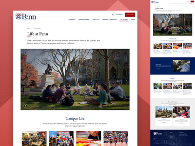 Life at UPenn card design featured landing responsive school ui university ux web web design website