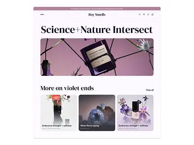 Boy Smells branding design ecommerce figma graphic design illustration logo ui ux vector